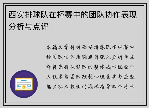 西安排球队在杯赛中的团队协作表现分析与点评