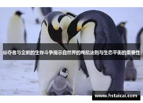 掠夺者与企鹅的生存斗争揭示自然界的残酷法则与生态平衡的重要性