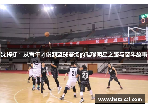 沈梓捷：从青年才俊到篮球赛场的璀璨明星之路与奋斗故事